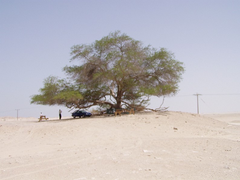 Trip to Iraq, Kuwait, Bahrain, United Arab Emirates